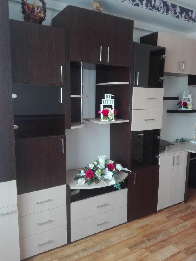 브라쇼브 Alexandra 'S Studio 아파트 외부 사진
